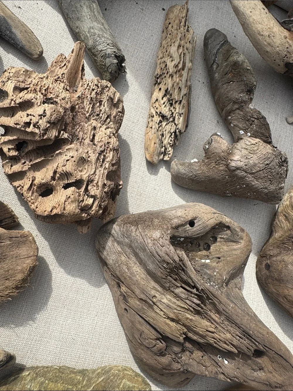 19 pc (5 lb shipped) Natural Driftwood for Craft, Projects, Upcycle& Decor